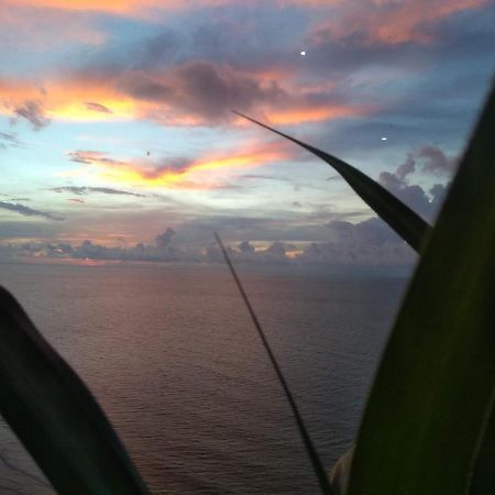 Cartagena Palmetto Beach Bella Vista المظهر الخارجي الصورة