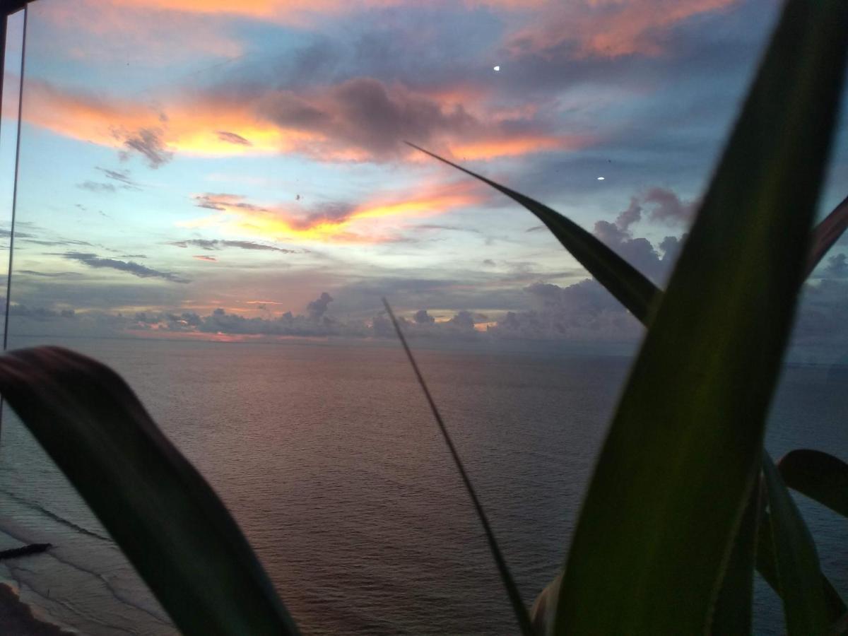 Cartagena Palmetto Beach Bella Vista المظهر الخارجي الصورة